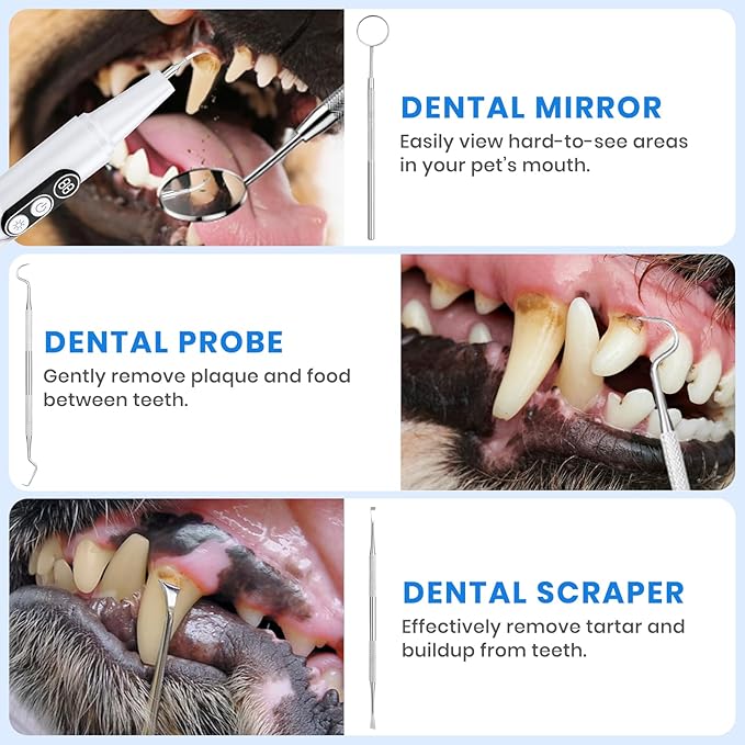 Dog Plaque Remover for Teeth, Pet Ultrasonic Cleaner with LED Light & Stand, 5 Modes, Pet Teeth Cleaning kit, Suitable for Dogs and Cats