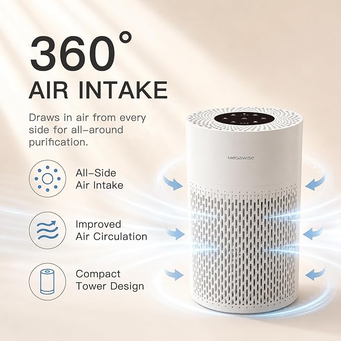 MEGAWISE Updated Version Air Purifier (1, Medium)