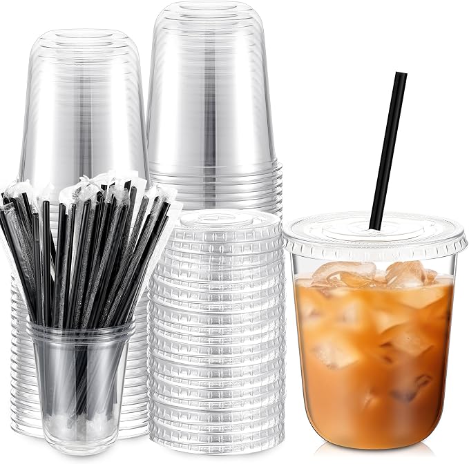 Ziliny 25 Set Clear Plastic Cups with Lids and Straws, Disposable Iced Coffee PET Cups for Drinking Cold Beverage Juice Parfait Smoothie Milkshake Coffee Shops Party Supplies (14 oz)