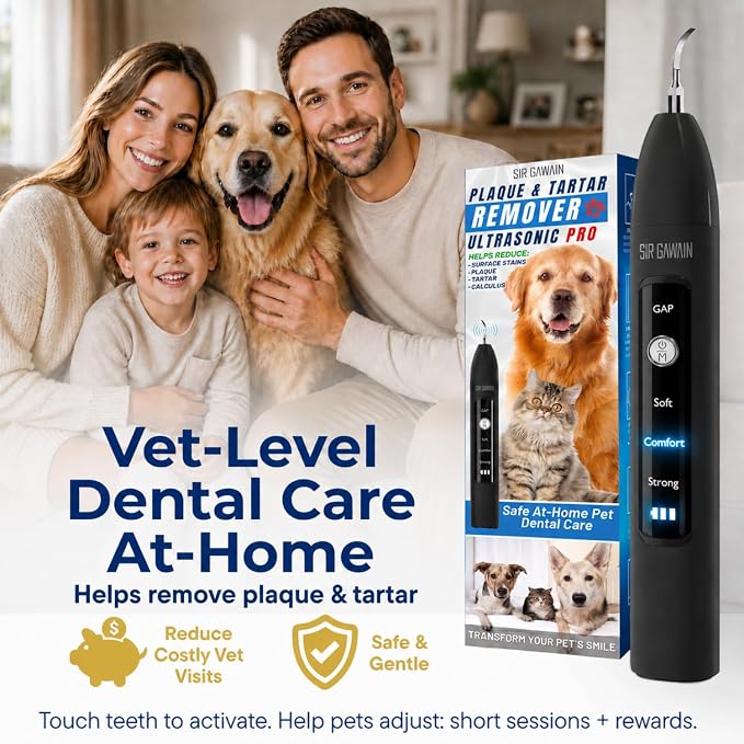 SIRGAWAIN Pet Ultrasonic Dental Cleaner — Plaque, Tartar & Stains Remover, 4 Tips, 3 Modes, LED, Contact-Activated & Smart Touch Protection, Complete Cleaning Kit for Dogs & Cats (Black)