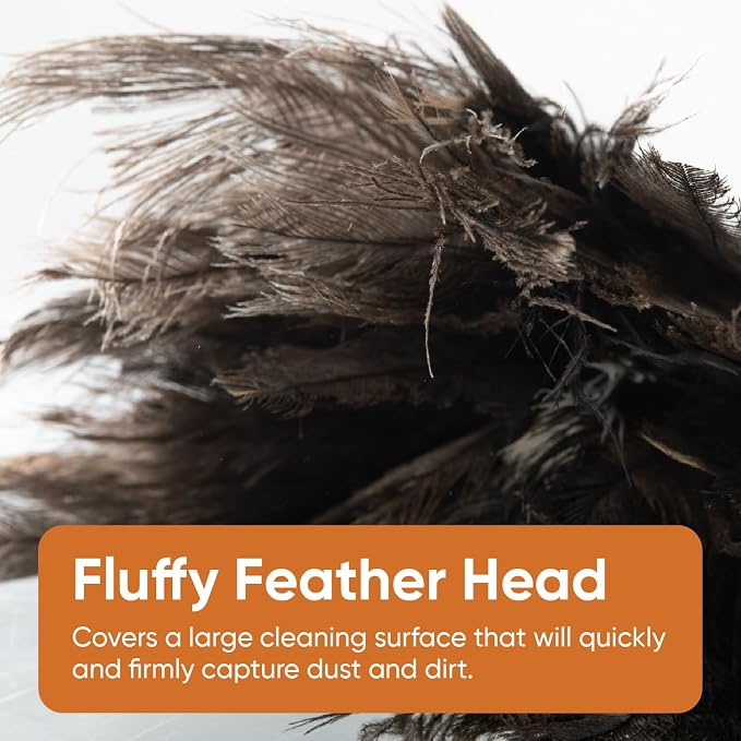 Superio Ostrich Feather Duster Fluffy Dust Remover, with Wooden Handle Reusable for Cleaning Homes, Ceilings, and Furniture (6 Pack)