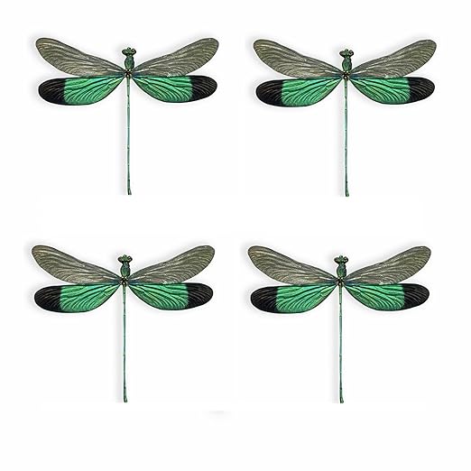 4 Real Dragonfly Damselfly Specimen Collection Beetle Mounted Dead Animal Preserved Entomology Taxidermy Oddity Scientific Lover Art Artwork Display Gallery Decoration Indoor Home BO83X4