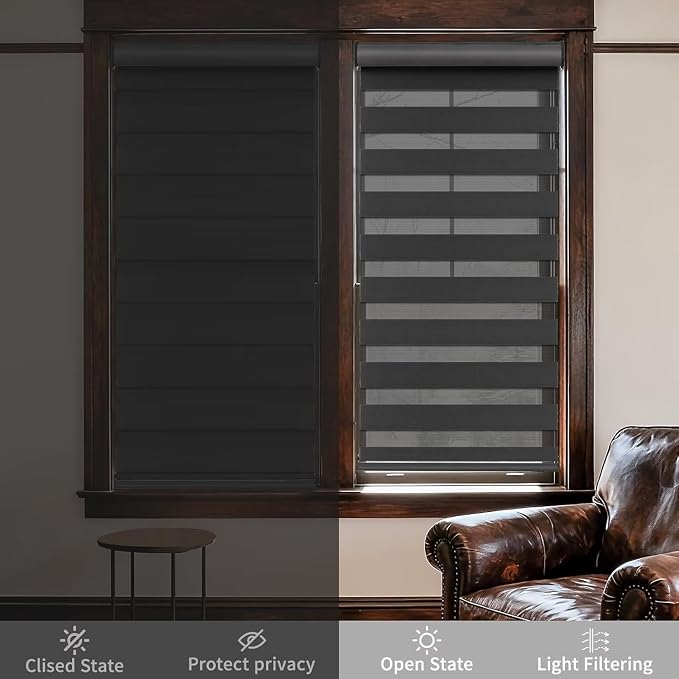 MYshade Cordless Zebra Blinds with Free-Stop Function - Dual Layer Light Filtering & Privacy Sheer Shades for Day and Night - Easy Install Window Shades for Home, Living Room, 40" W x 64" H,Black