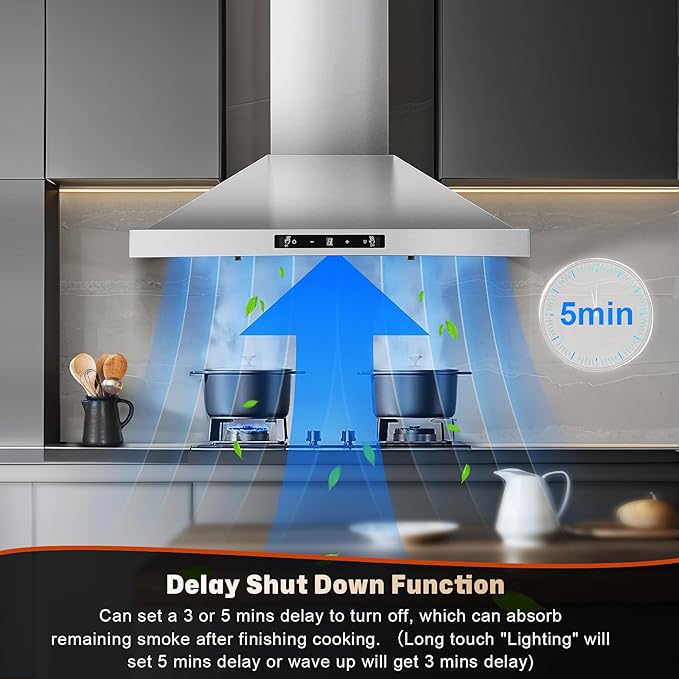 24 Inch Range Hood, Ducted/Ductless Range Hood 450CFM, Wall Mount Kitchen Hood in Stainless Steel, Gesture Sensing & Touch Control, 3 Speed Fan, 2 Pcs Baffle Filters