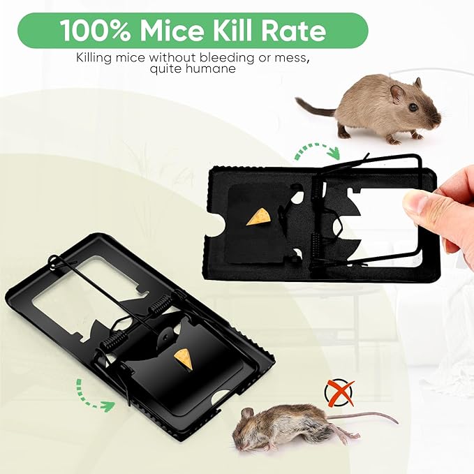 Qualirey 24 Pcs Classic Metal Rat Traps Reusable Mouse Trap Humane Effective Snap Rat Killer that Work for Indoor Outdoor Mice Voles and Small Rodents Control(Black)