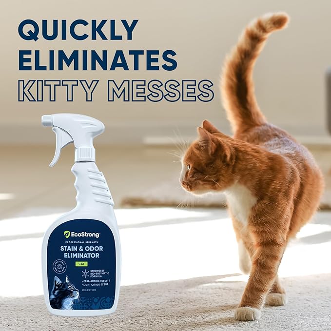 Eco Strong Cat Stain And Odor Remover | Enzyme Urine Odor Neutralizer - Stain Remover for Carpet, Litter Boxes, Bedding, and Laundry [Citrus Scent, 32 oz. Spray]