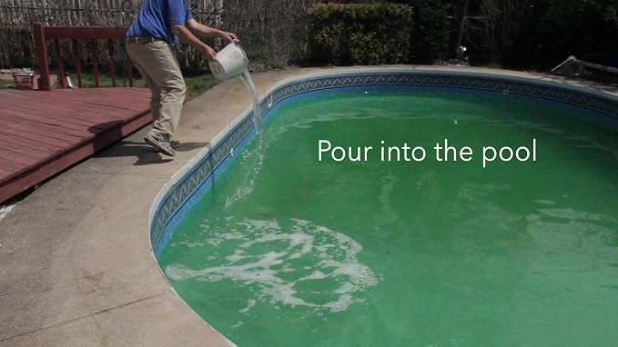 Rx Clear Algaecide 60 Plus | Non-Foaming Formula for Above Or In-Ground Swimming Pools | 60 Percent Poly-Algaecide | Keeping Algae in Suspension | One Quart Bottles | 1 Pack