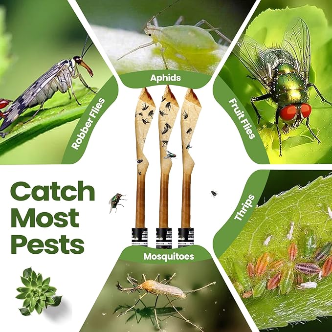 Qualirey 80 Pack Fly Strips Sticky Fly Trap Indoor Outdoor Hanging Ribbon Tape Paper Flying Insect Trap Gnat Killer Traps Catcher for Fruit Flies, Bug, Insect, Pest (Black)