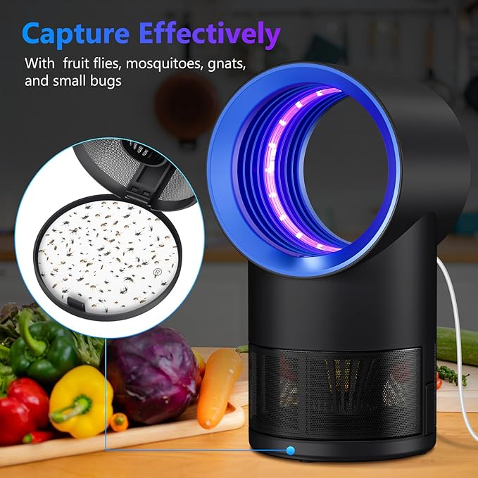 Fruit Fly Trap for Indoors, Fly Traps for Home Gnat Traps House Indoor, Indoor Insect Trap with Timer, Pack of 10 Refills (Blue)