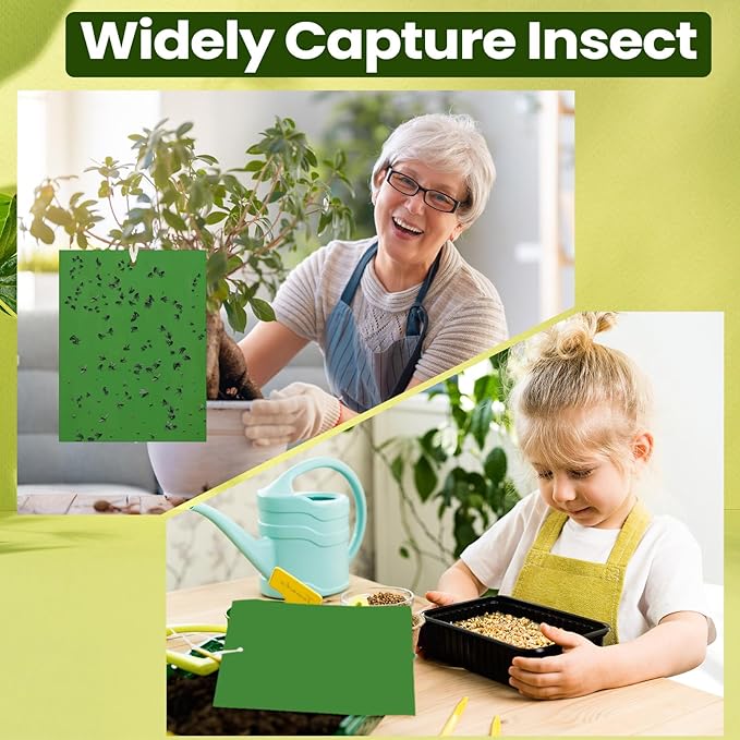 Qualirey 100 Pcs 6 x 8 Inch Sticky Traps for Plant Double Sided Sticky Trap for Gnats with Twist Ties Fly Traps for Fruit Insect Fungus Bugs Indoor Outdoor (Green)