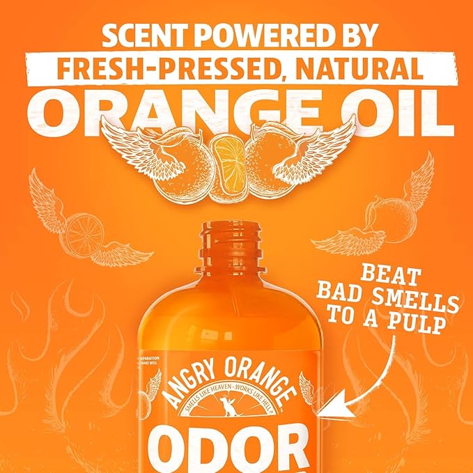 ANGRY ORANGE Pet Odor and Floor Cleaning Set – Citrus Mint Floor Cleaner (32 oz, 2 Pack) + Citrus Odor Eliminator for Dog and Cat Urine and Stains (24 oz)