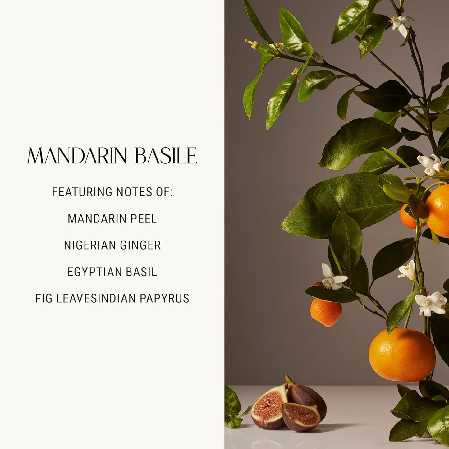 Homecourt All-Purpose Surface Cleaner Spray, Lifts Away Dirt, Smudges & Grease, For Bathroom, Kitchen & more, Clean Formula, Mandarin Basile, 16 fl oz, 2.0