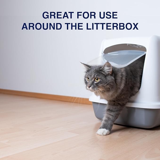 Bona Pet System Bundle for Cats - Includes Premium Pet Microfiber Mop for Multi-Surface Floors + Pet System Microfiber Sweeping Pad + Floor Cleaner, Cat Formulation 32 fl Oz