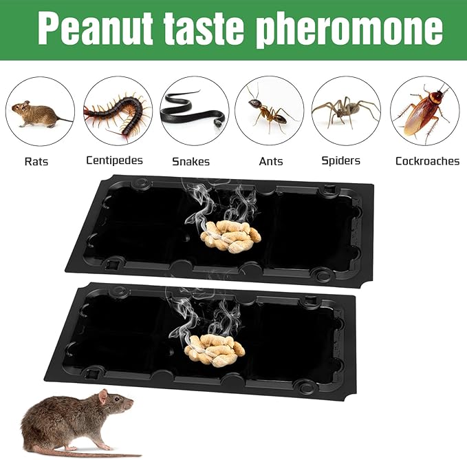 4 Pcs Humane Mouse Traps No Kill Reusable,12 Pack Peanut Taste Pheromone Sticky Mouse Trap Rat Traps Indoor for Home