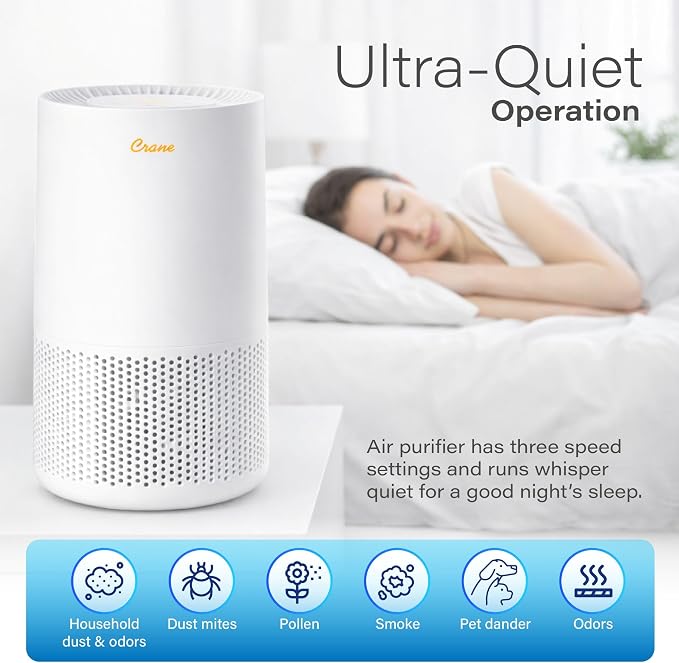 Crane True HEPA Air Purifiers for Home, Up To 250 Sq Ft, Air Purifiers For Bedroom, and Office, Removes Dust, Smoke, Pet Dander, and Allergens, Purifier HEPA with Sleep Timer, Child Lock, Aroma Tray