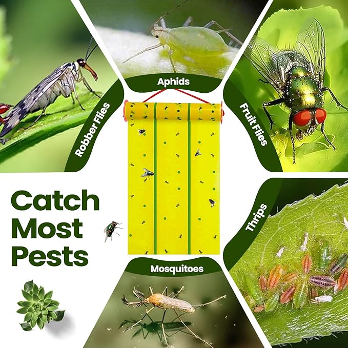 Qualirey Giant Sticky Fly Traps, Fly Strips for Indoor Outdoor Hanging Flying Tapes Non Toxic Ribbon Fruit Gnat Killer for Mosquito Plants House Horse Stable(30 ft,Yellow and Green,10 Pcs)