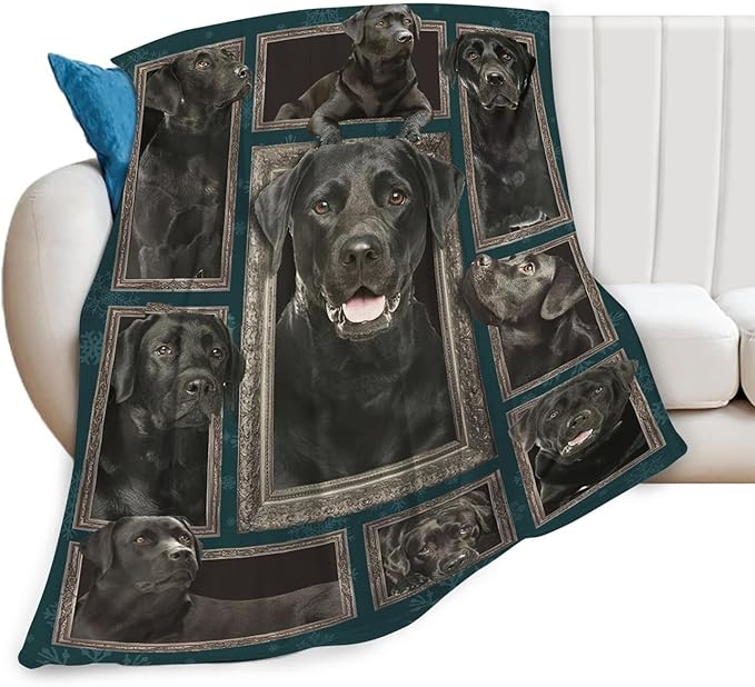 Tijuboni Labrador Retriever Throw Blanket Dog Gifts for Girls Boys Women Men Kids Adults Soft Flannel Fleece Blanket for Couch Sofa Bed Home Decor 40"x50"