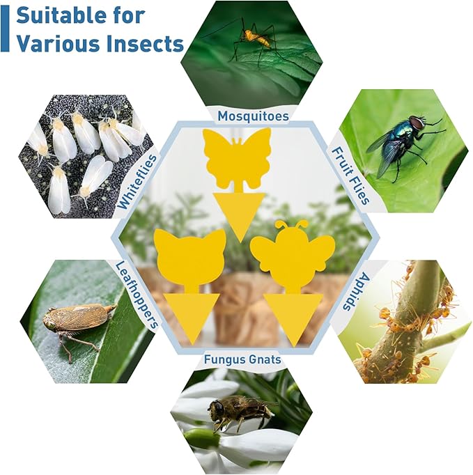 48 Pack Fruit Fly Traps for Indoor Outdoor, 3 Shapes Yellow Sticky Bug Traps, Double-Side Fungus Gnat Killer for Houseplants, Mosquitos, Flying Insects