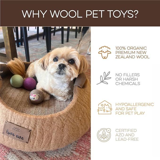 Hustle & Blush Wool Felt Balls 6 Pack Love Ewe Pet Supplies - 2 in Felted Wool Cat Toys Flower & Dragonfly, Butterfly & Bee 100% New Zealand Wools Felt Cat Toys Handmade Wools Felts Balls, Cats Felts