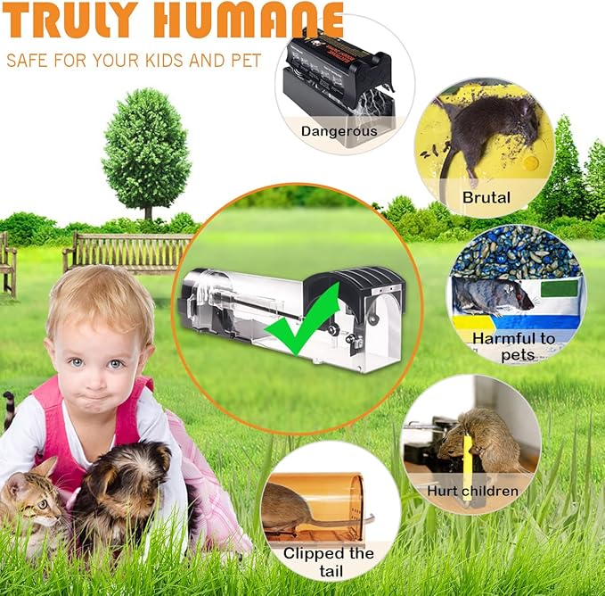 Humane Mouse Trap