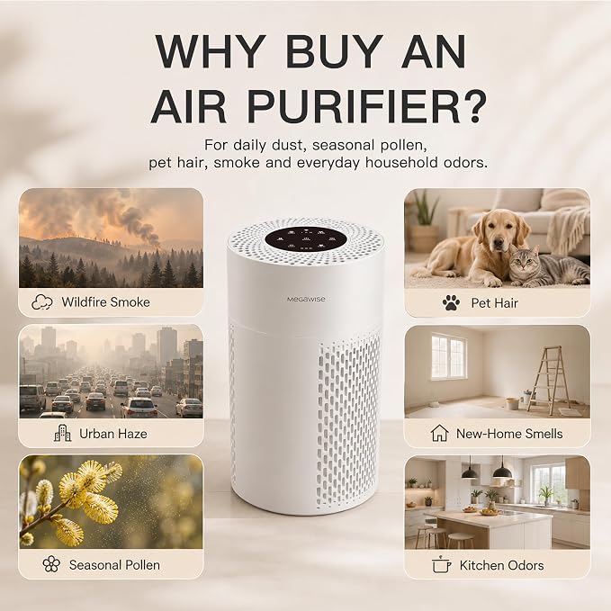 MEGAWISE Updated Version Air Purifier (1, Medium)
