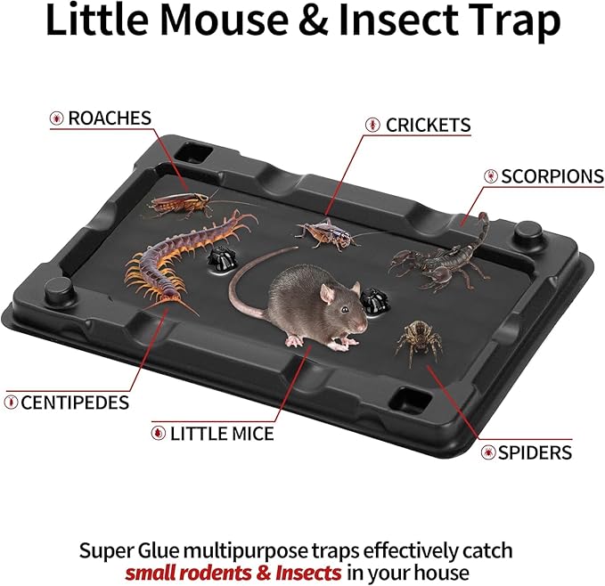LULUCATCH Mouse & Insect Traps 20 Pack, Heavier Sticky Traps with Non-Toxic Glue for Small Mice & Insects. Sticky Mouse Traps Indoor for Home, Easy to Set