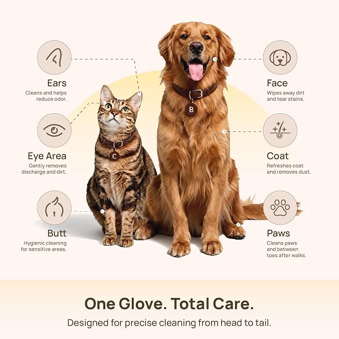 HICC PET Cleaning Deodorizing Glove Wipes for Dogs & Cats, Vet Recommended Hypoallergenic Hydrating & Nourish Fur Pet Grooming Glove Wipes, Pet Bathing Wipes for Horse Coat Care, 20pcs Rose Scent