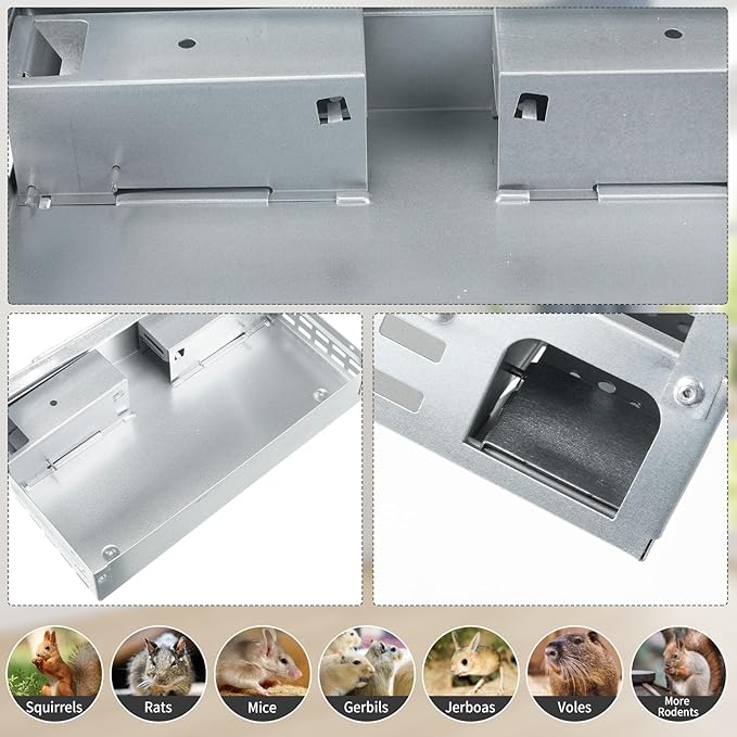 Qualirey 8 Pack Multi Catch Mice Trap Clear Top Humanized Mouse Trap Rodent for Indoor Outdoor Rat Control Pet and Security (6.3 Inch,Silver)