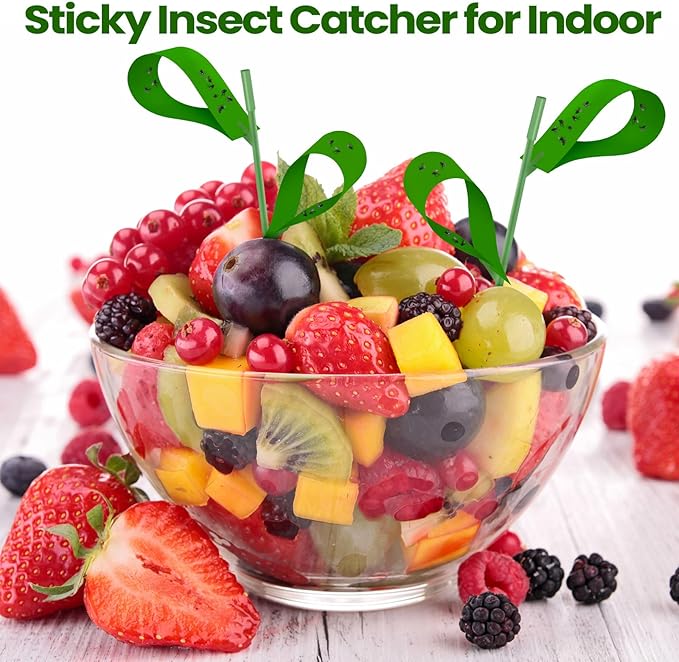 Qualirey 300 Pcs Sticky Houseplant Traps Fungus Gnat Fruit Fly Trap Sticky Houseplant Stakes Insect for Outdoor Garden Aphids, Whiteflies, Fruit Flies, Fungus Gnats, and Other Insects (Green)