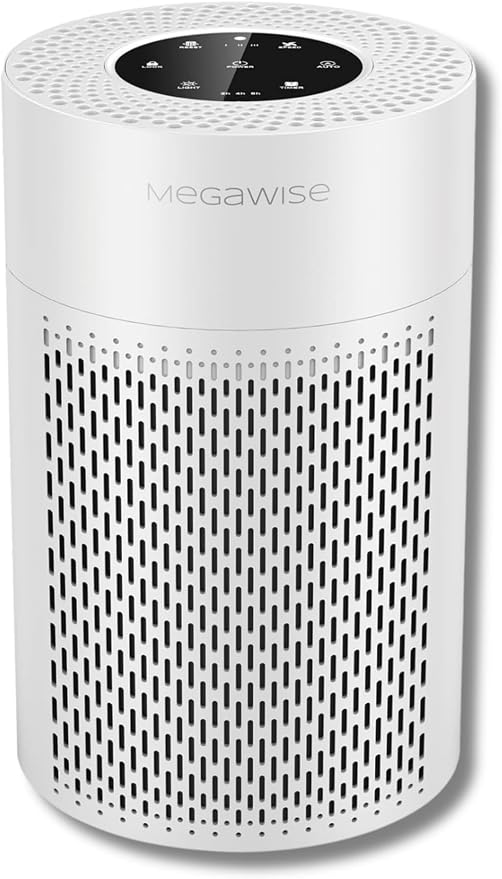 MEGAWISE Updated Version Air Purifier (1, Medium)