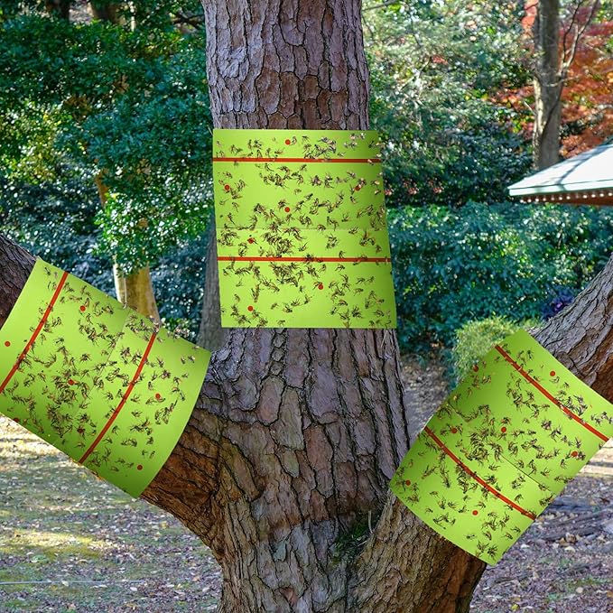 Qualirey 4 Rolls Spotted Lantern Fly Traps 30 Feet Each Roll Fly Tree Trap Sticky Strips Outdoor Fruit Glue Strips Disposable Tape Indoor Paper Sheets for Protecting Trees (Green)