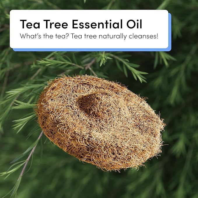 TUSHY Tea Tree Coconut Husk Scrubbing Pads Refill. Planet Friendly Cleanser-Infused Pads, No Toilet Bowl Cleaner Needed. (Toilet Brush 2.0 Refills), 16 Pack
