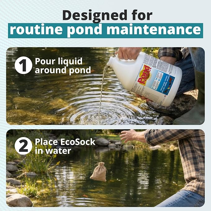 TLC Farm Pond Treatment – PondPerfect Liquid & EcoSock Dual System, Pond Bacteria for Larger Outdoor Ponds – 1 Box Treats Up to 1/4 Acre – 12 Gallon + 12 EcoSock