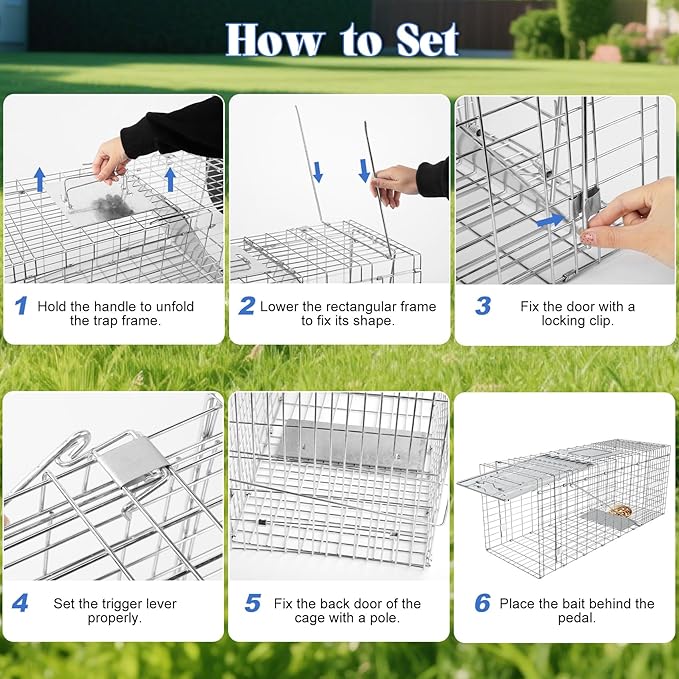Humane Live Animal Trap, Heavy Duty Folding Raccoon Traps Cage for Cat, Squirrel, Skunk, Raccoon, Fox Catch and Release Large Size 31.1 * 11 * 12.6 Inch