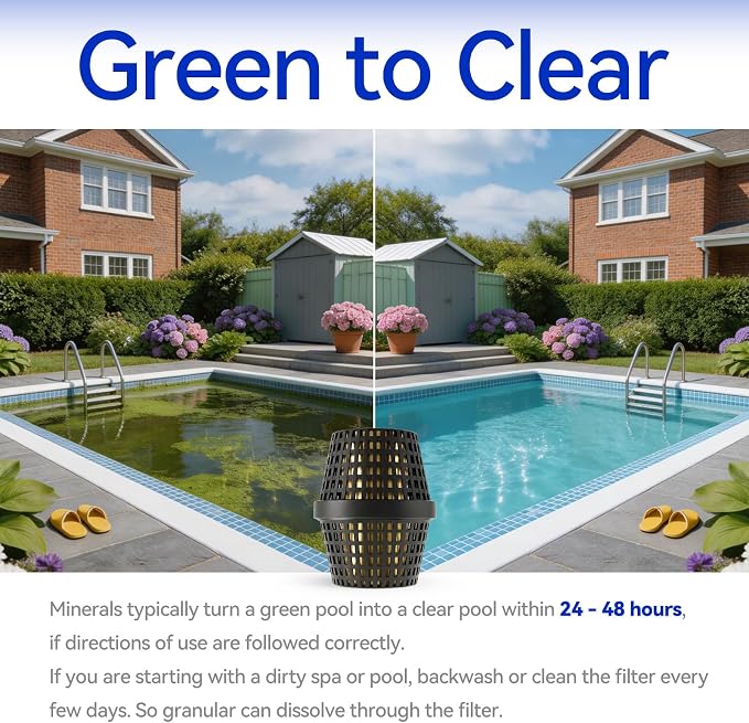 Unit 20k-30k Gallons Replacement, Compatible with Cartridge In-Ground Pool Floaters
