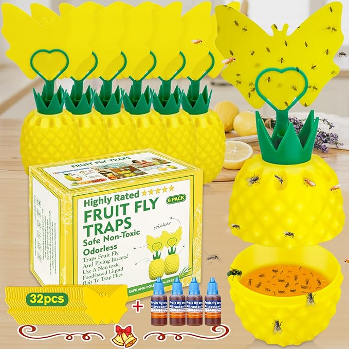 Fruit Fly Trap for Indoors, Effective Fruit Fly Catcher Gnat Killer with Sticker, Gnat Traps for House Indoor with Bait, Non-Toxic Reusable Easy to Use Fly Trap for Kitchen Home - 6 Pack