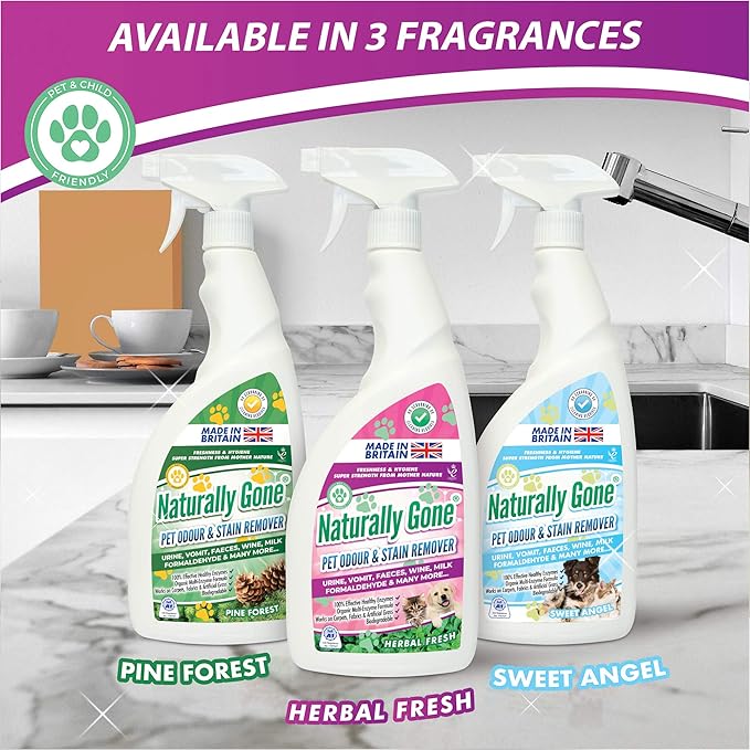 airpure NATURALLY GONE Pet Odour Eliminator, Heat Sealed Cap, Enzyme Cleaner Removes Smells and Stains, Cat Litter Freshener, Works on Urine, Vomit, Faeces and More - HERBAL FRESH Fragrance