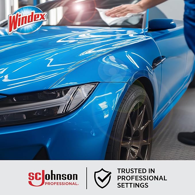 SC Johnson Professional Windex Automobile Wipes 25 CT, Case Pack of 12