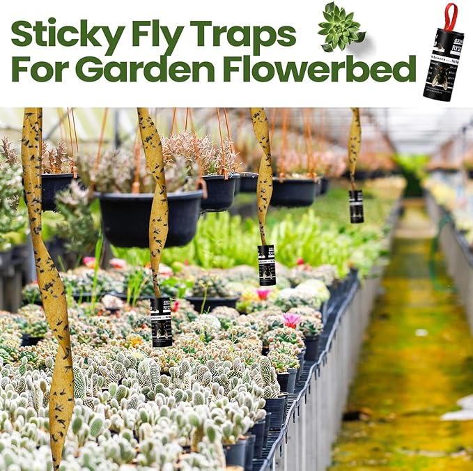 Qualirey 80 Pack Fly Strips Sticky Fly Trap Indoor Outdoor Hanging Ribbon Tape Paper Flying Insect Trap Gnat Killer Traps Catcher for Fruit Flies, Bug, Insect, Pest (Black)