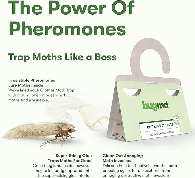 BugMD Clothes Moth Boss Traps (6 Count, Green) and Pantry Pest Patrol (6 Count, White) Bundle