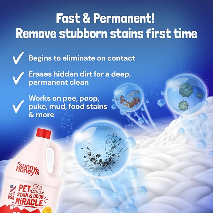 Sunny & Honey Pet Stain and Odor Remover - Enzyme Cleaner for Dog Urine and Poop on Carpets and Furniture - Strong Pet Carpet Cleaner Spray (1 Gallon Fall Spice)