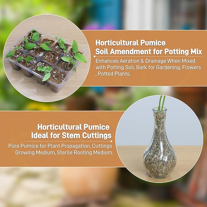 Horticultural Pumice for Plants, 8 Quarts Bag Natural Soil Amendment, 1/4" Particle Size for Succulent, Cactus, Bonsai Tree, Orchid Potting Mix