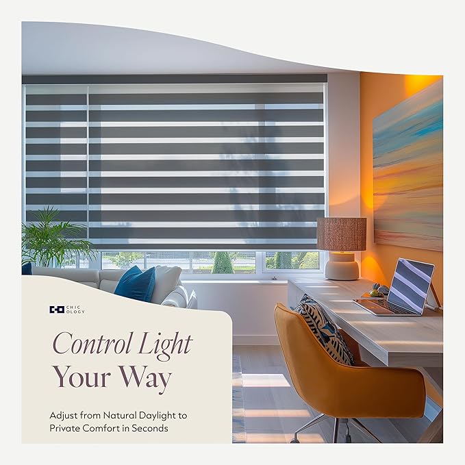 CHICOLOGY Zebra Blinds Cordless Window Shades, Dual Layer Light Filtering Roller Shades for Windows, Sheer Privacy Striped Fabric, Easy Install, 48"W x 72"H, Basic Slate