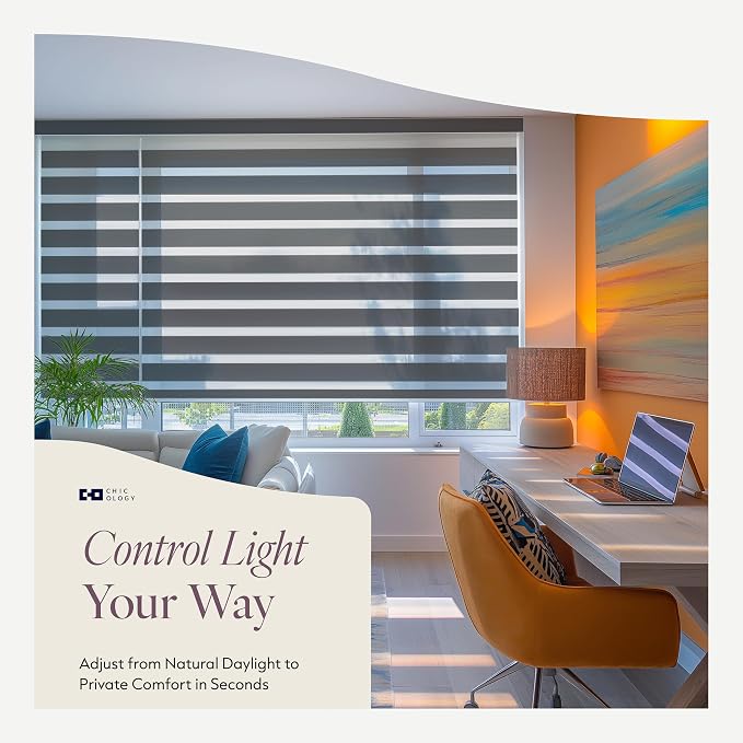 CHICOLOGY Zebra Blinds Cordless Window Shades, Dual Layer Light Filtering Roller Shades for Windows, Sheer Privacy Striped Fabric, Easy Install, 49" W x 72" H, Basic Slate
