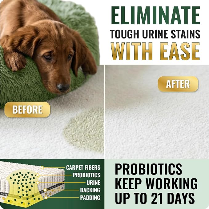 Enzyme Cleaner (1 Gallon Bottle) for Everyday Use in Pet-Loving Households – Eco-Friendly Probiotic Deodorizer, Dog Urine & Cat Pee Remover, Septic-Safe Drain Cleaner – Fresh Mango Scent