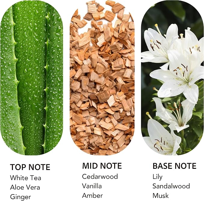 Luxury Hotel Scent Dream On 500ml Diffuser Oil Waterless Essential Aromatherapy for Cold Air & Car Diffusers – Long Lasting Refill for Large Room & Home - Signature White Tea (500ml/16.9Fl oz)