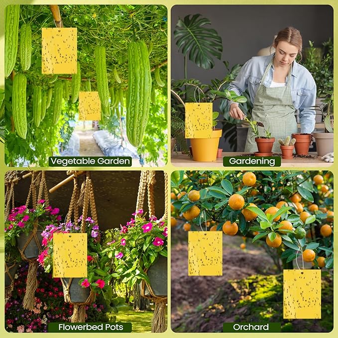 Qualirey 20 Pcs 6 x 8 Inch Sticky Traps for Plant Double Sided Sticky Trap for Gnats with Twist Ties Fly Traps for Fruit Insect Fungus Bugs Indoor Outdoor (Yellow)