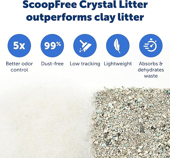 PetSafe ScoopFree Crystal Cat Litter & Refill Tray with Lid, Fragrance Free, 4.3 Lb Bag with Each Tray, Pack of 6