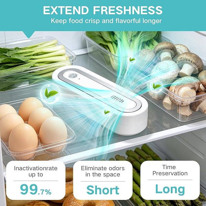 Fridge Deodorizer, Rechargeable with Dual Modes & Compact Design for Refrigerator, Car, Shoe Cabinet to Eliminate Odors and Keep Air Fresh (Silver)