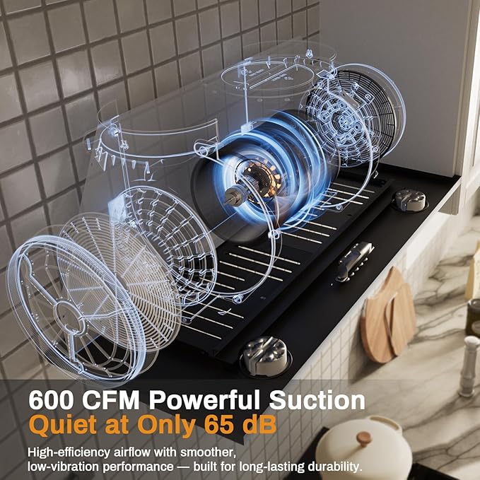 30 Inch Range Hood Insert, 600 CFM Convertible Ducted/Ductless Kitchen Hood with Matte Black Finish on Stainless Steel, 3-Speed Exhaust Fan with LED Lights, Baffle & Carbon Filters